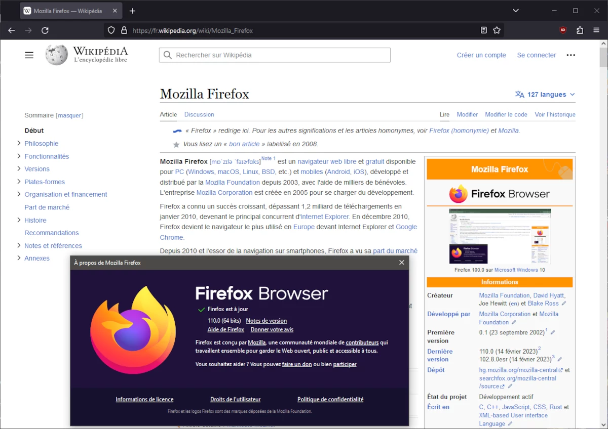 Mozilla Firefox Screenshot